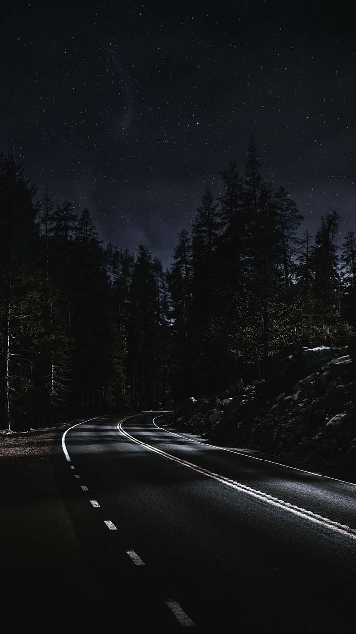 736x1308 Night Forest Road iPhone Wallpaper HD