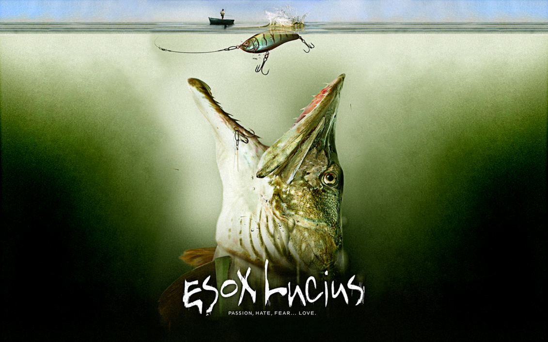 1131x707 Pike Fish Wallpaper
