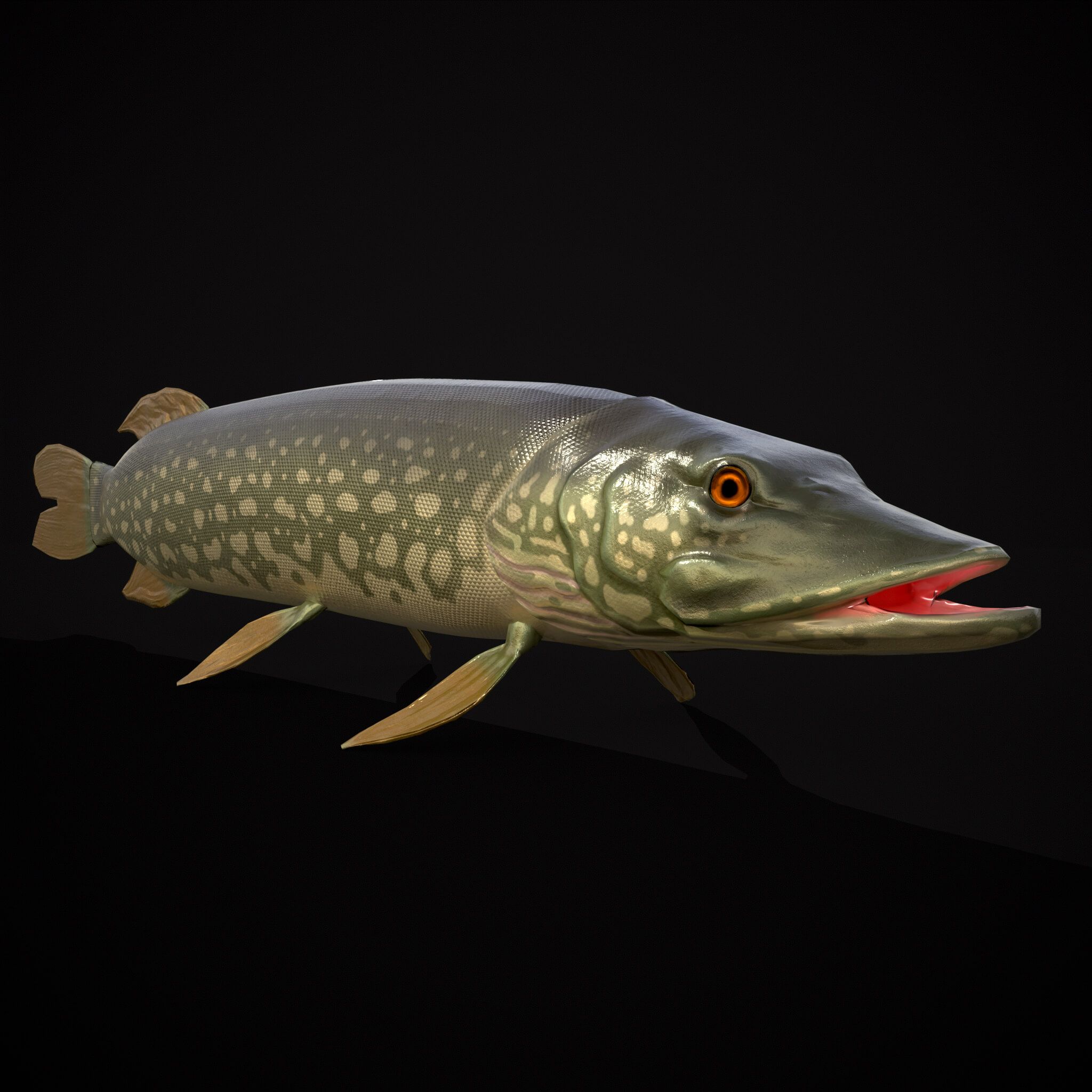 2048x2048 Northern Spotted Pike Model by Get Dead Entertainment