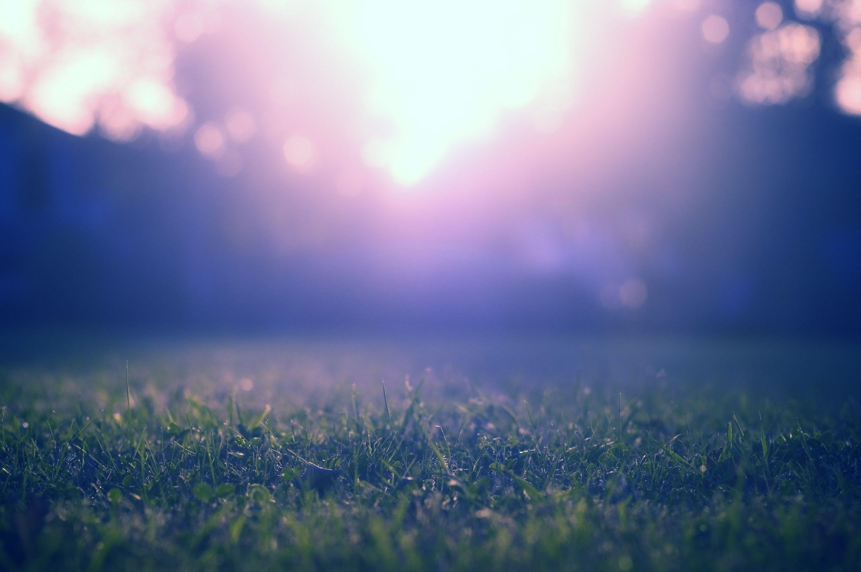 3000x1993 Grass ground light wallpaper. PC