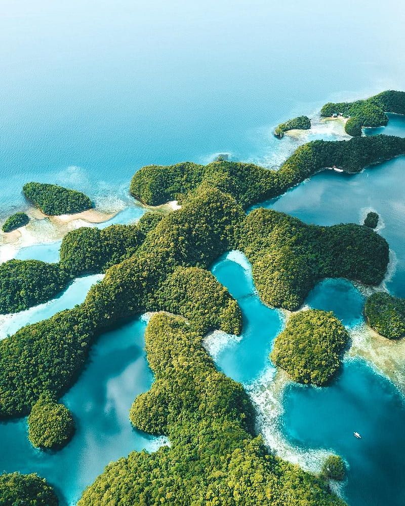 800x999 GreenBlue Ocean, landscape, coral, aquarium, reef, paradise, philippines, travel, HD phone wallpaper