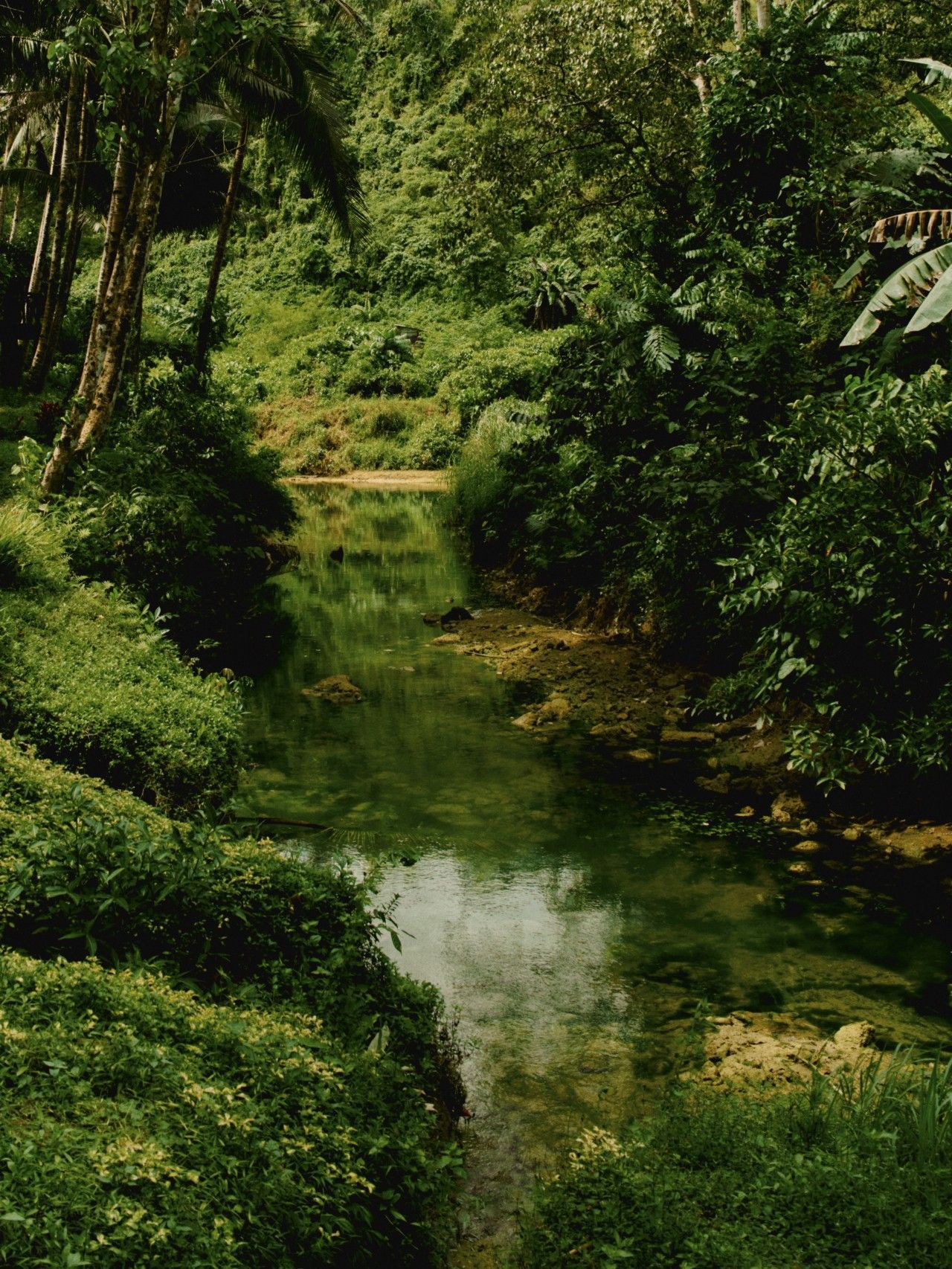 1280x1706 We, the Archipelago: Life in the Philippines