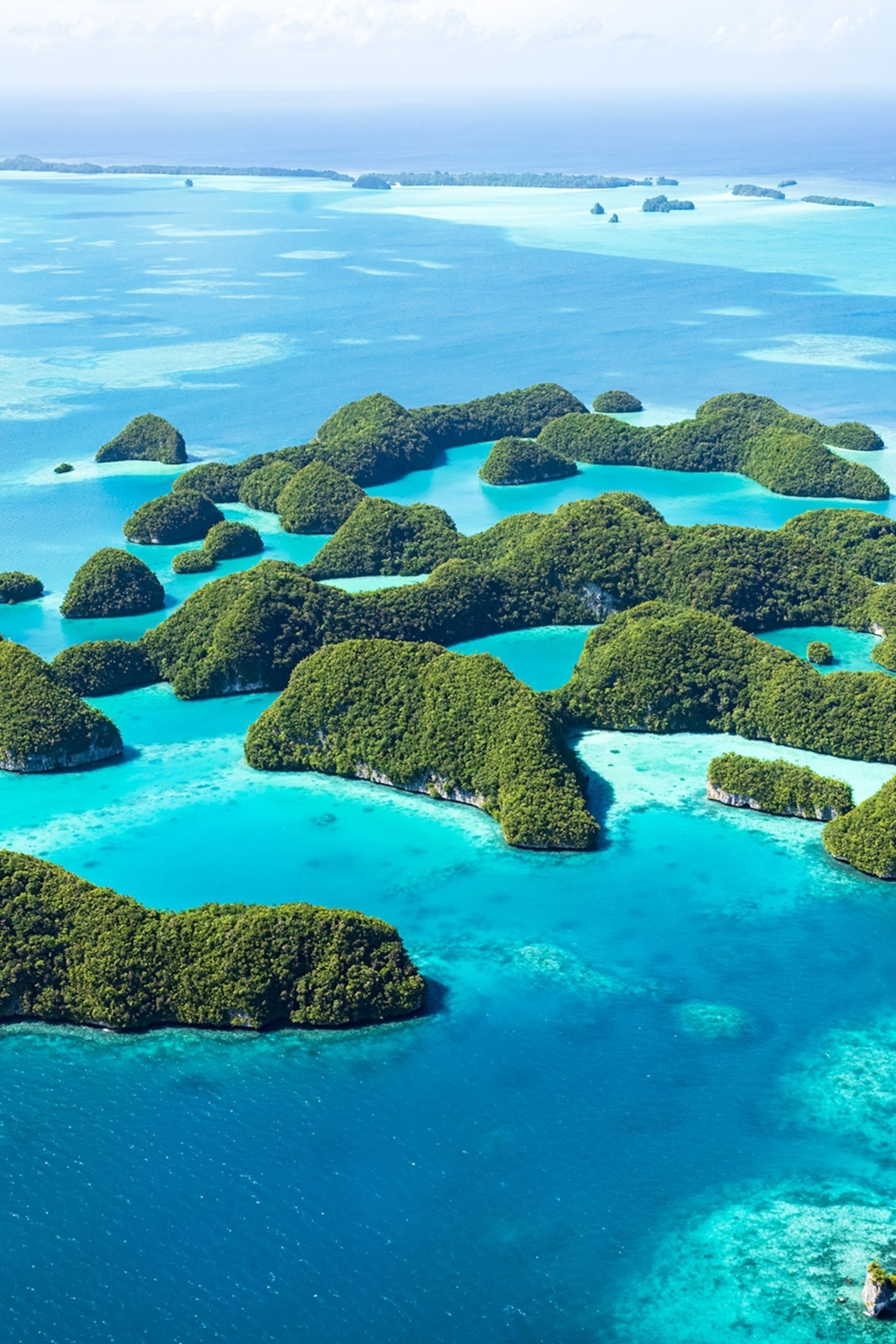 2048x3072 The Pacific paradise where guests are guardians