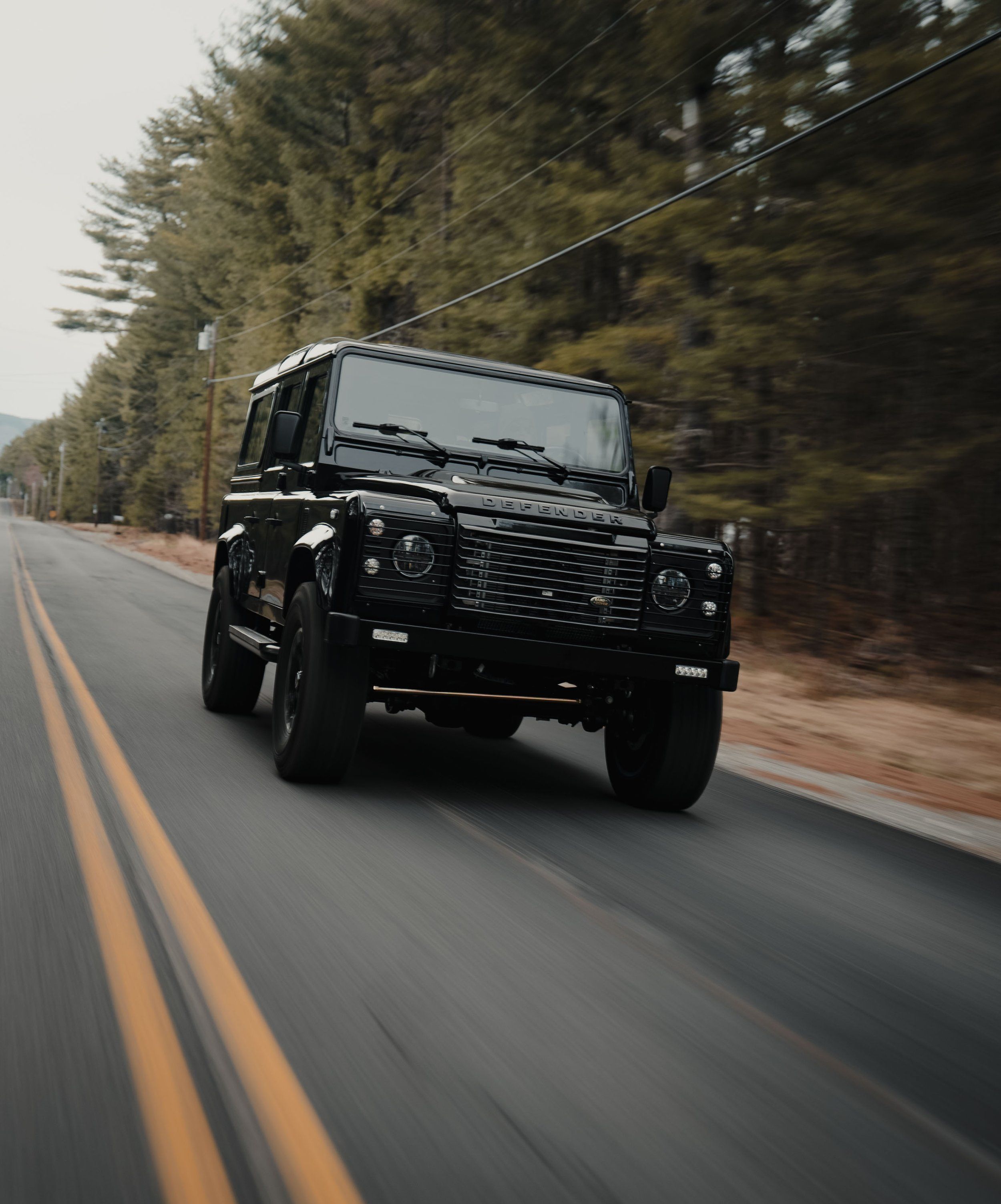 2500x3008 Wolf Classics. Explore Unmatched Craftsmanship