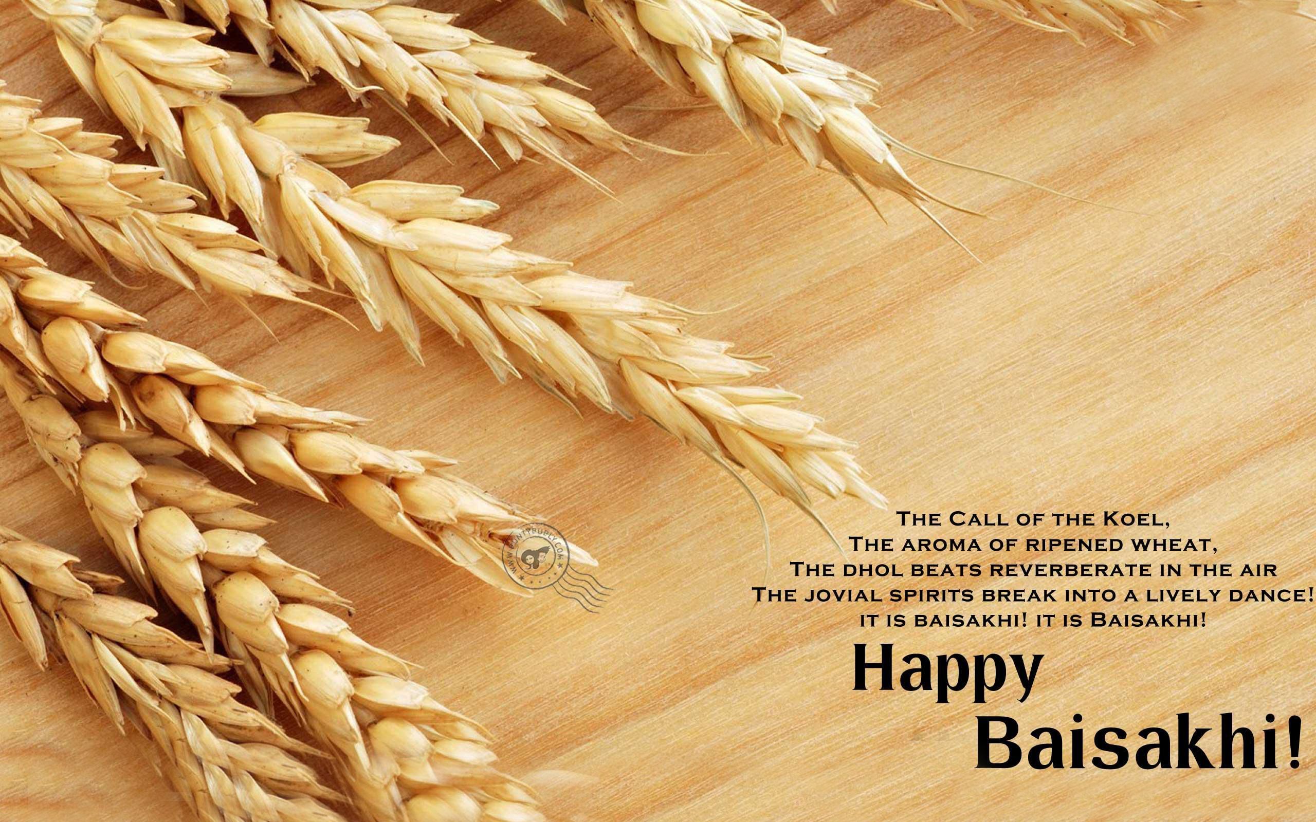 2560x1600 Baisakhi HQ Desktop Wallpaper 12092