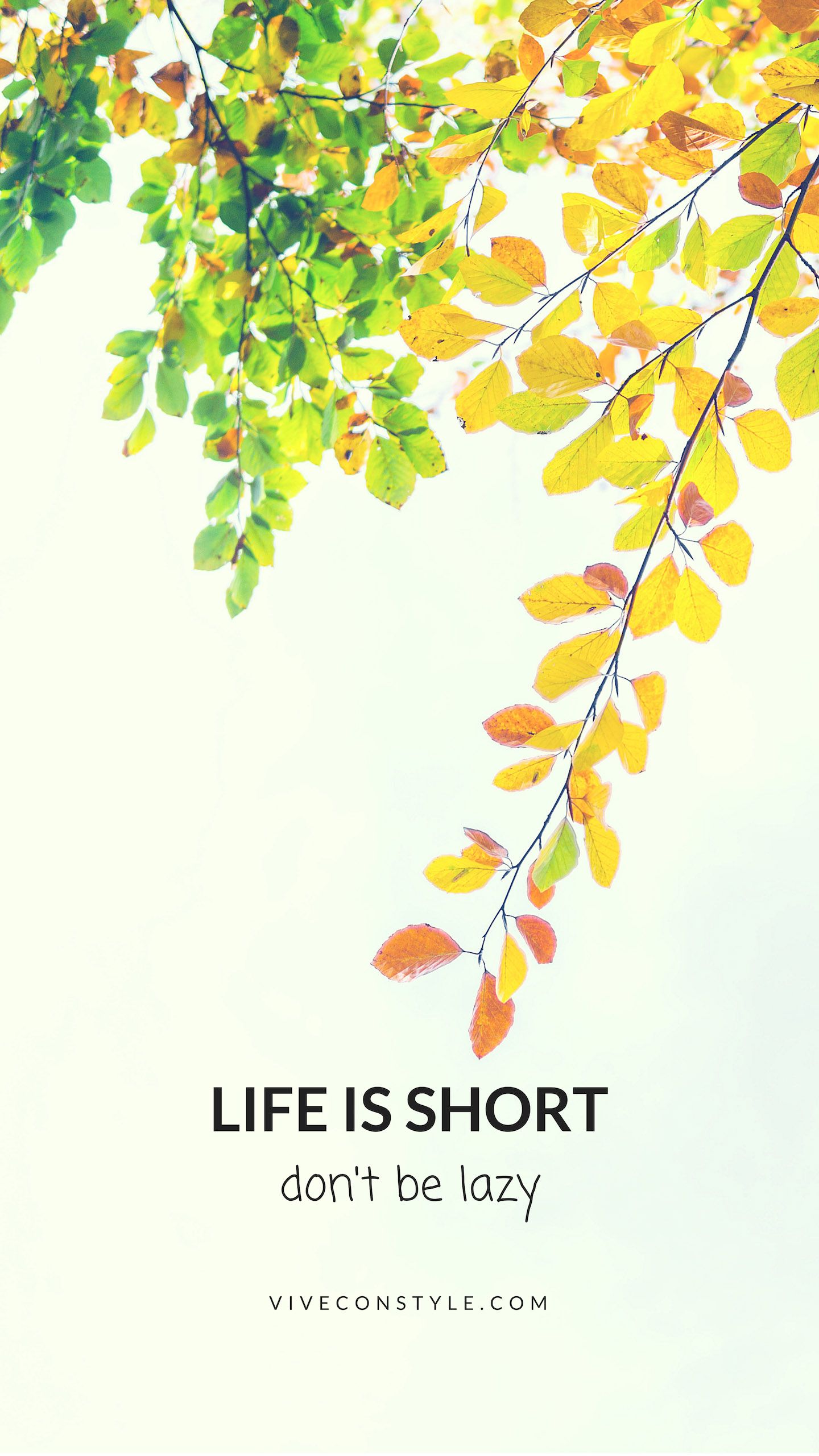 1440x2561 Life is short Don't be lazy. CON STYLE