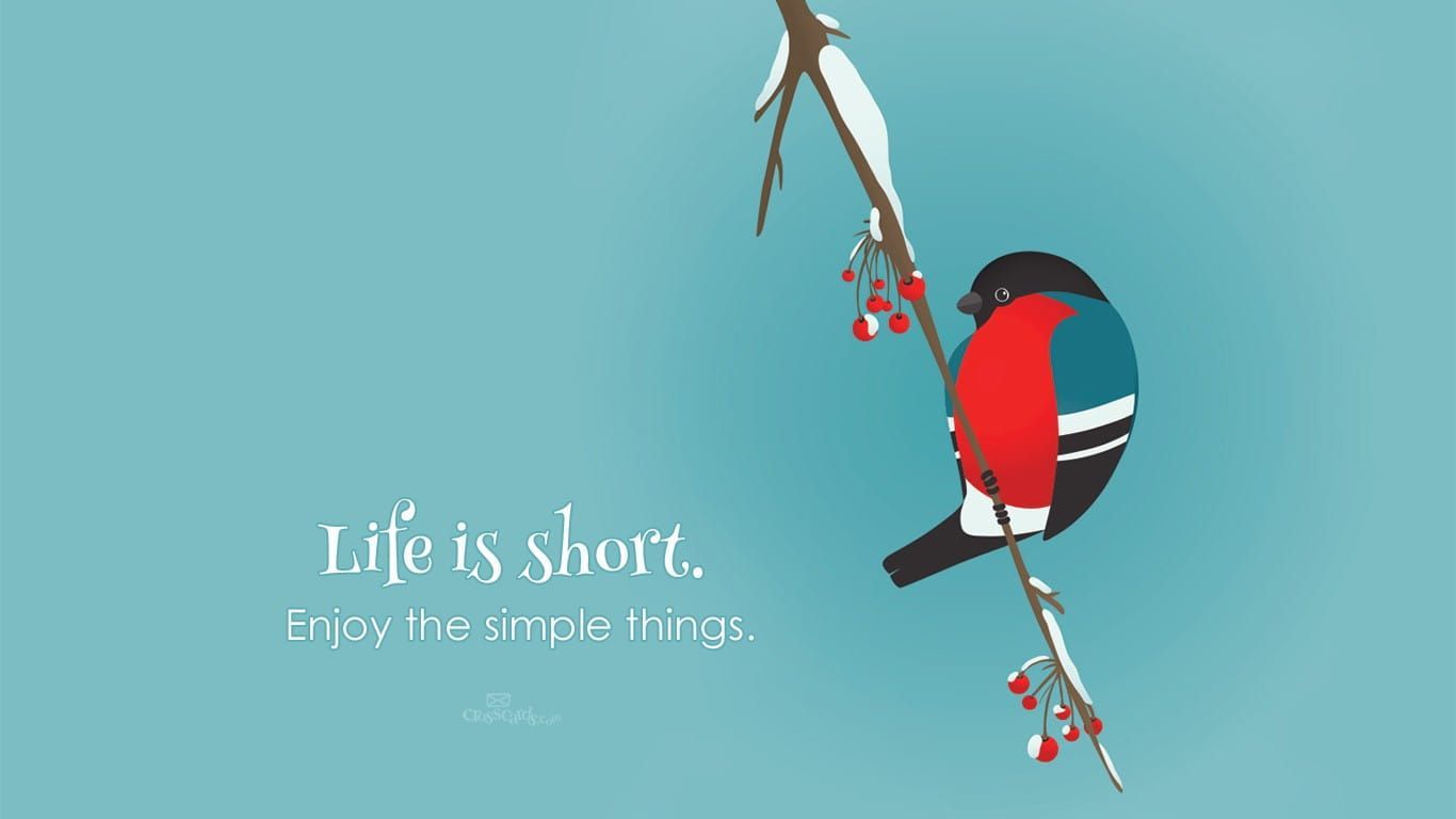 1366x768 Life is Short Desktop Wallpaper Animals Background