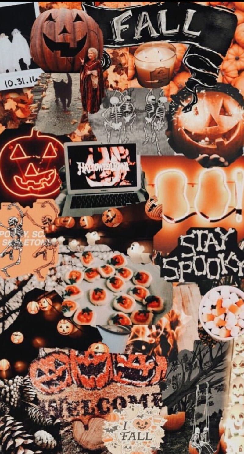 800x1483 Spooky Fall, aesthetic, autumn, halloween, pumpkins, HD phone wallpaper