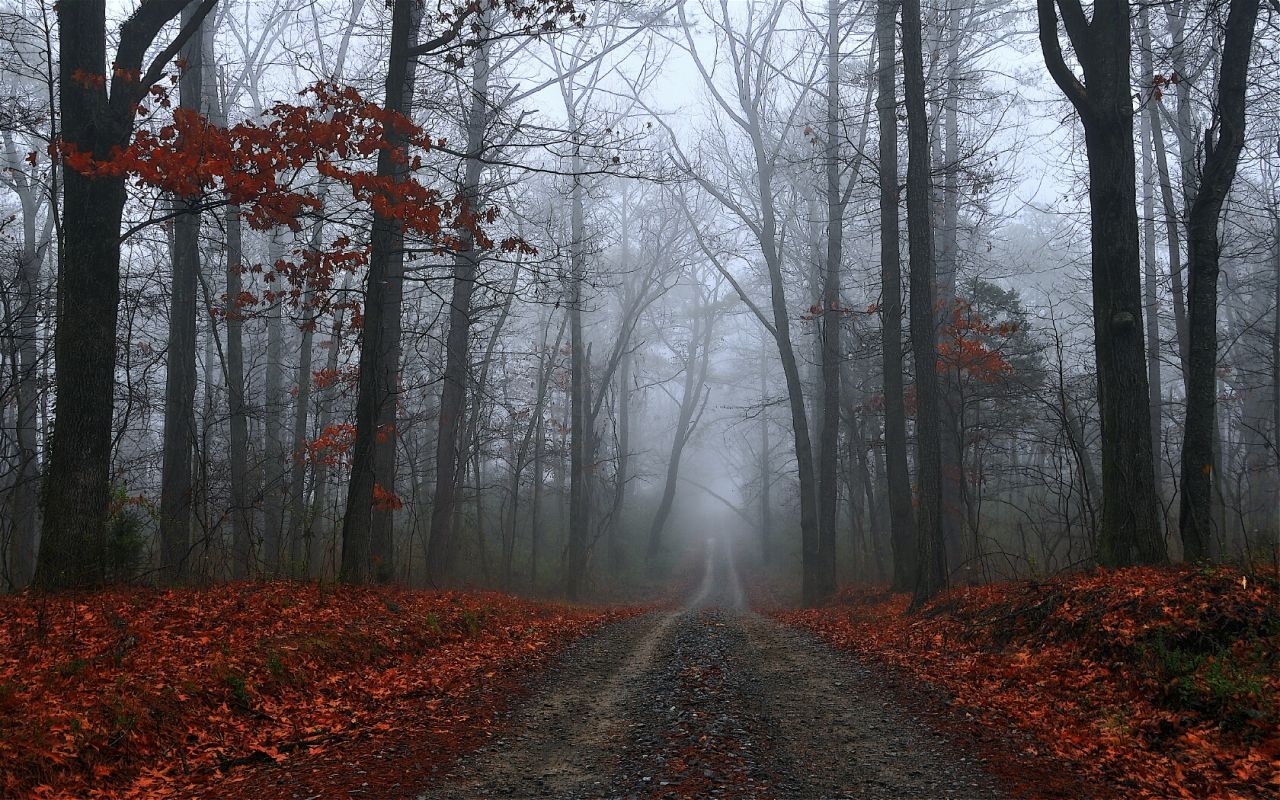 1280x800 The Spooky Vegan: Sunday Funday: Favorite Photo of the Week
