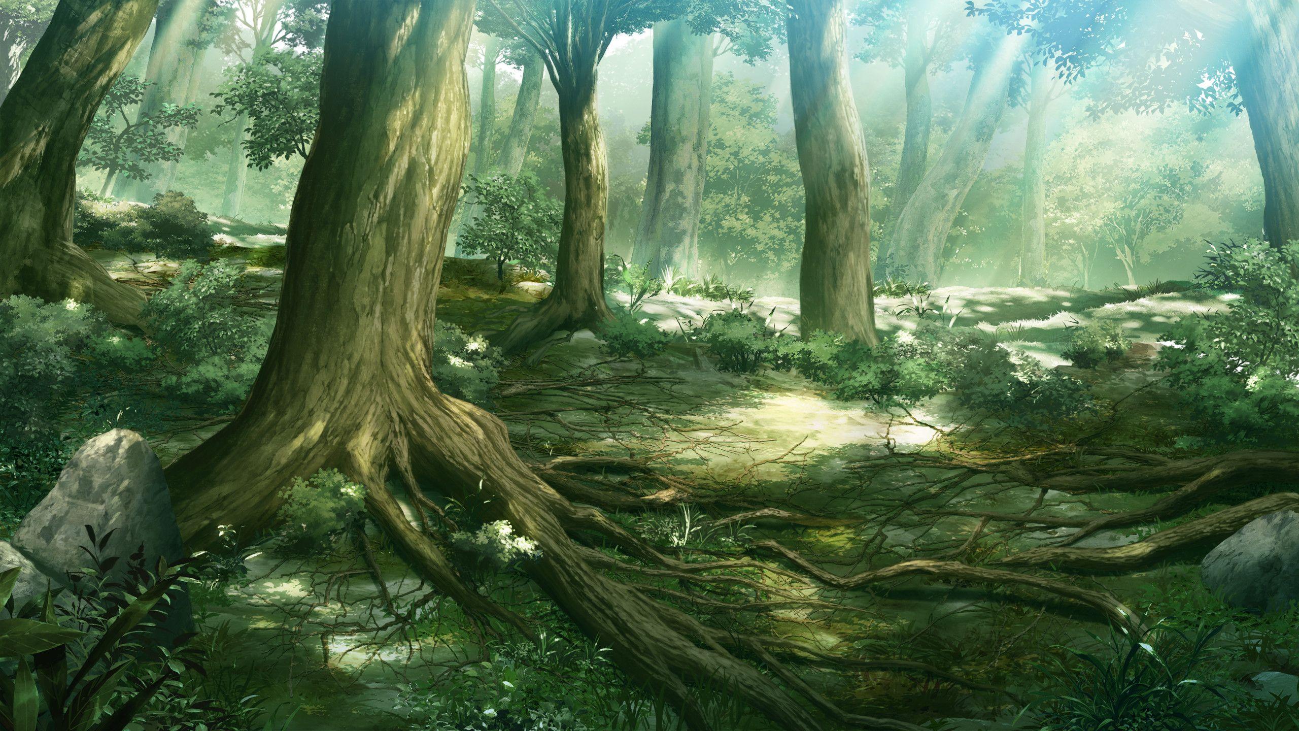 2560x1440 Anime Forest Background