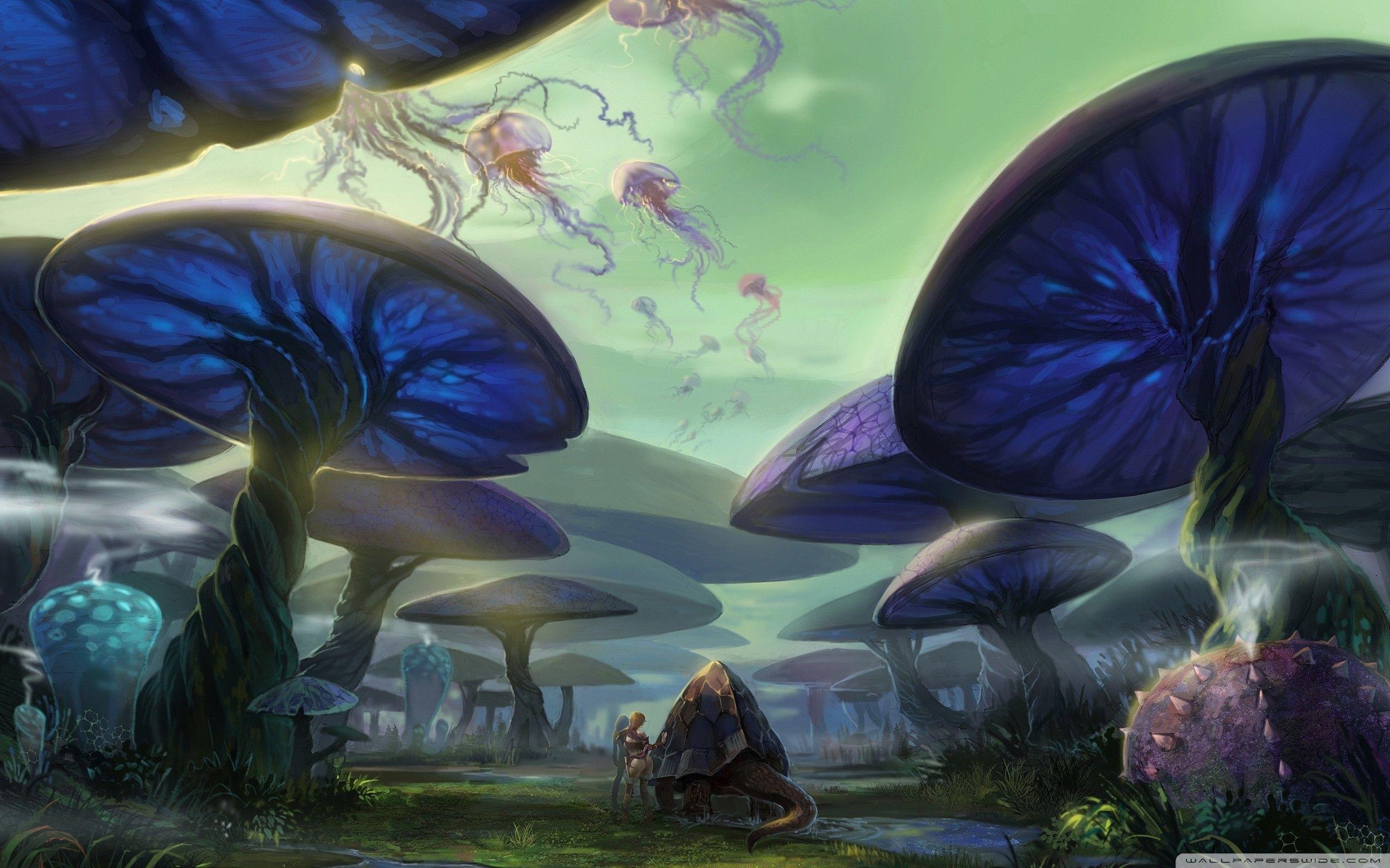 2560x1600 Mushroom Forest Wallpaper