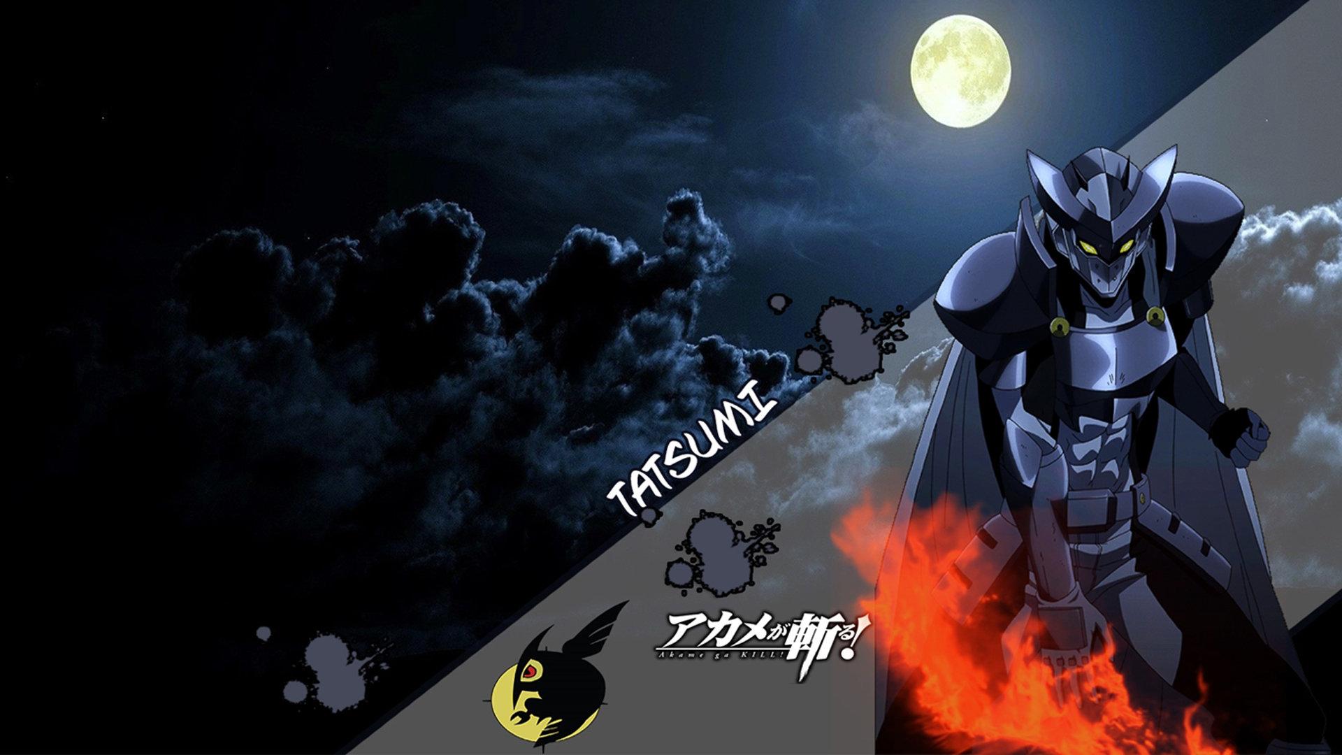 1920x1080 Tatsumi (Akame Ga Kill!) wallpaper HD for desktop background