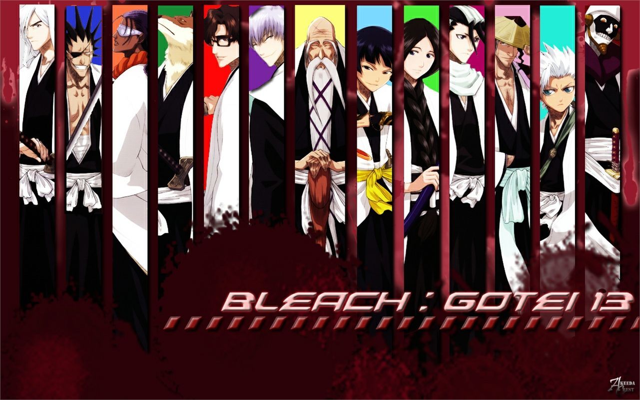 1281x801 Kaname Tosen, HD Wallpaper