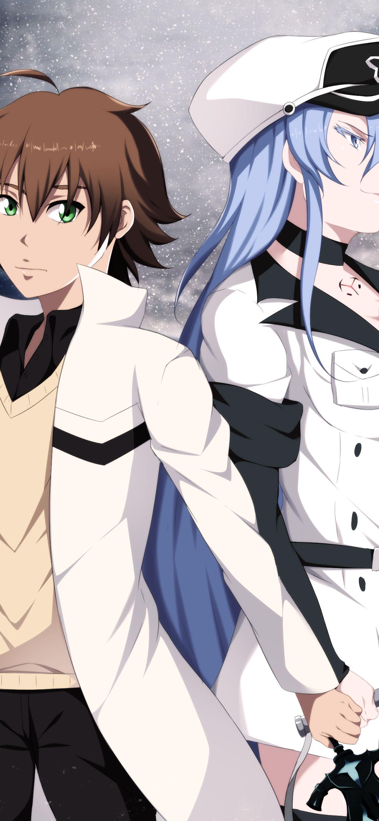 1242x2688 Tatsumi and Esdeath iPhone XS MAX Wallpaper, HD Anime 4K