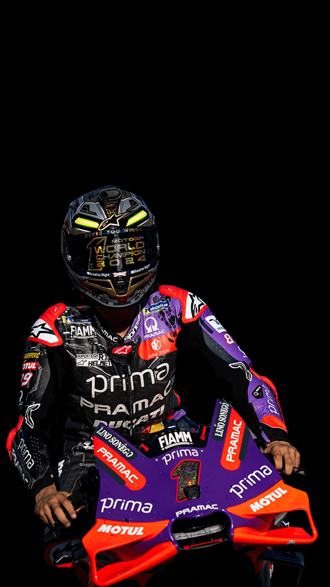 1080x1920 Jorge Martin 2024 MotoGP World Champion [1080x1920]