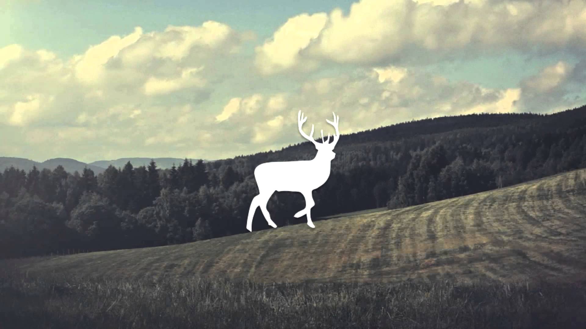 1920x1080 Majestic Casual Wallpaper, Picture