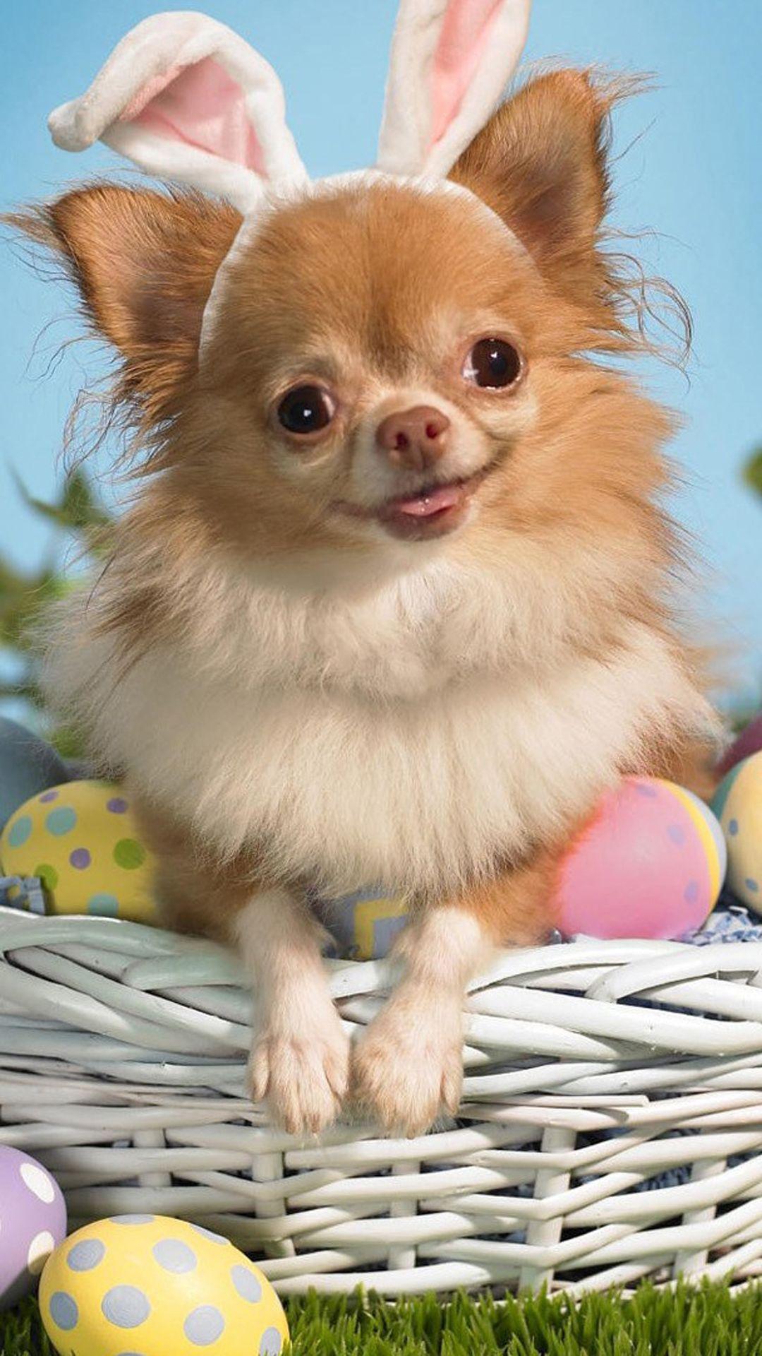 1080x1920 Animals