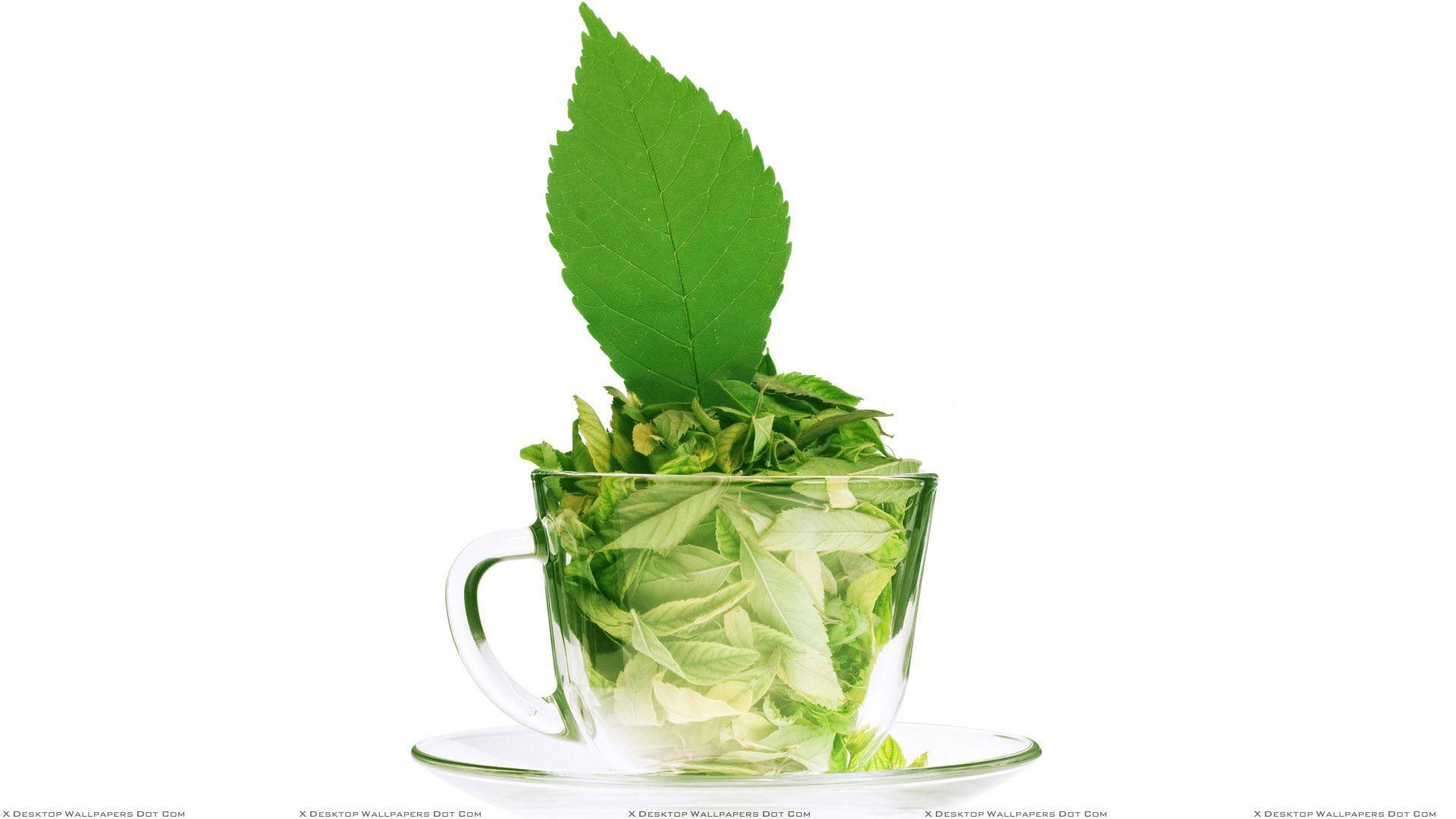 Green Tea Wallpapers Top Free Green Tea Backgrounds WallpaperAccess