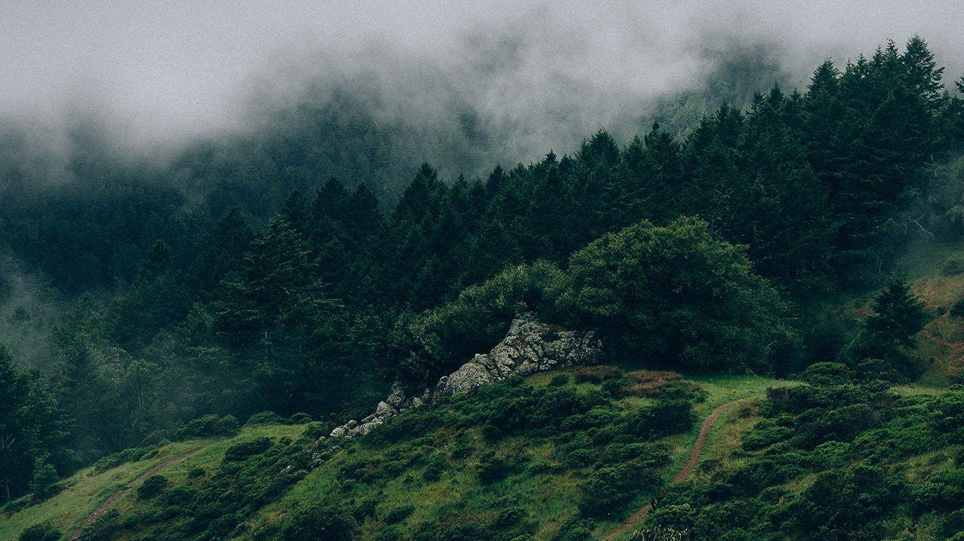 1366x768 Aesthetic Green PC Wallpaper