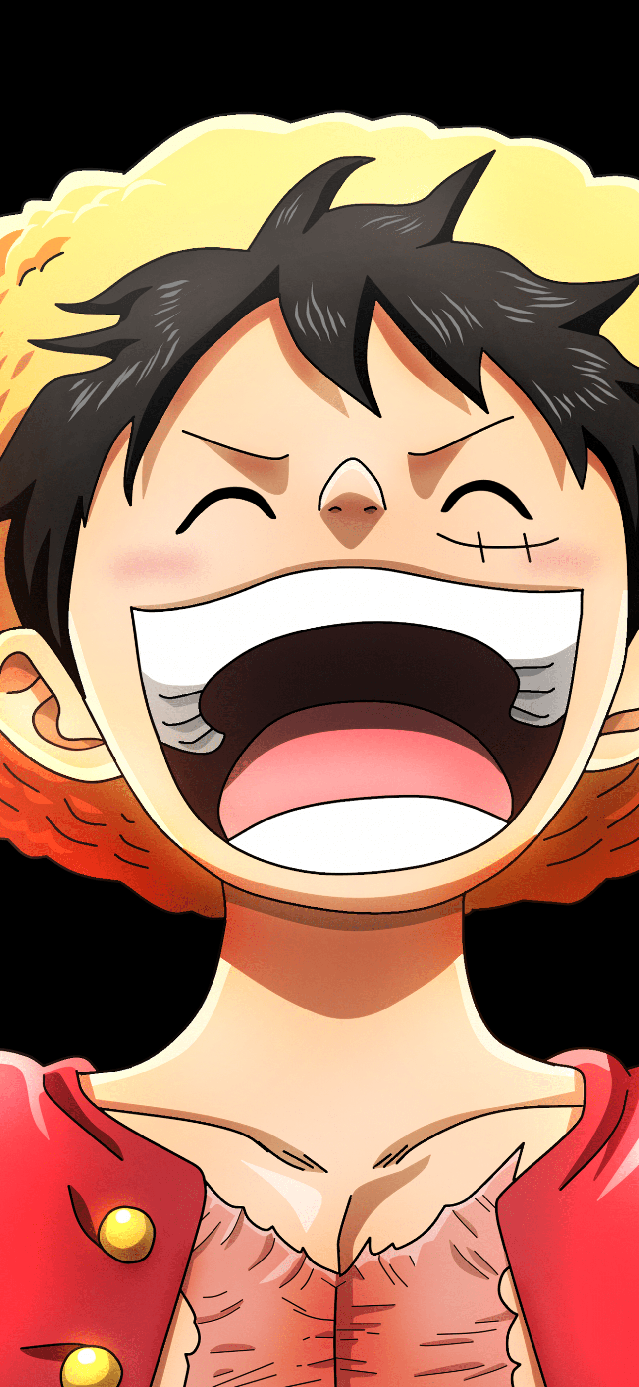 1290x2796 One Piece iPhone Wallpaper and Background