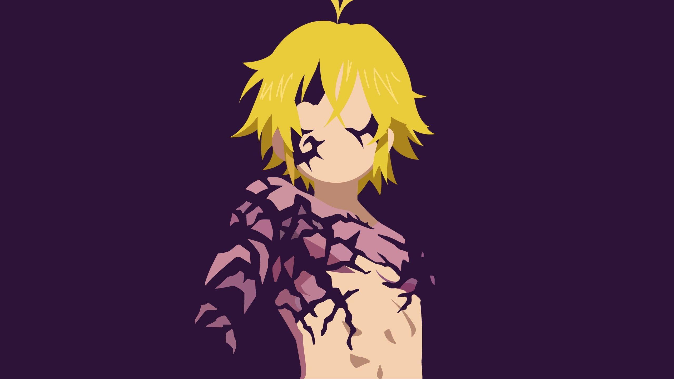 2560x1440 Yellow hair character artwork, Nanatsu no Taizai, meliodas HD