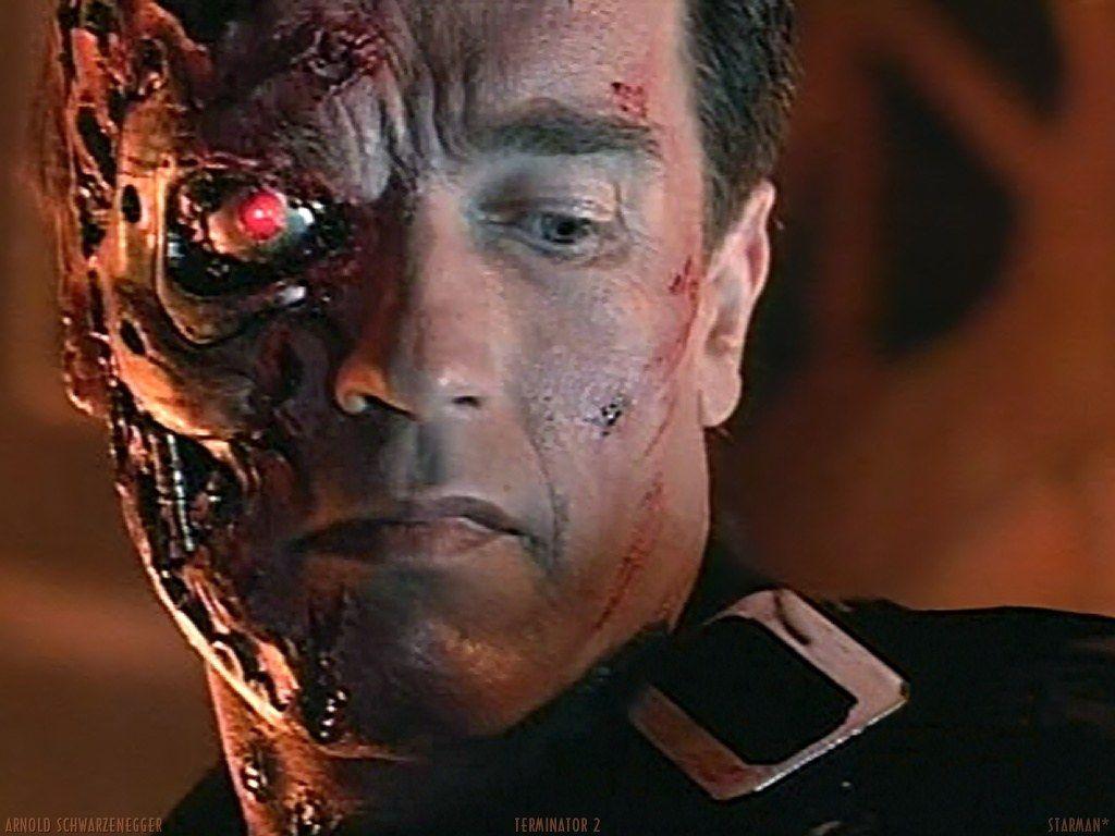 1024x768 terminator Search. An image of Schwarzenegger as an