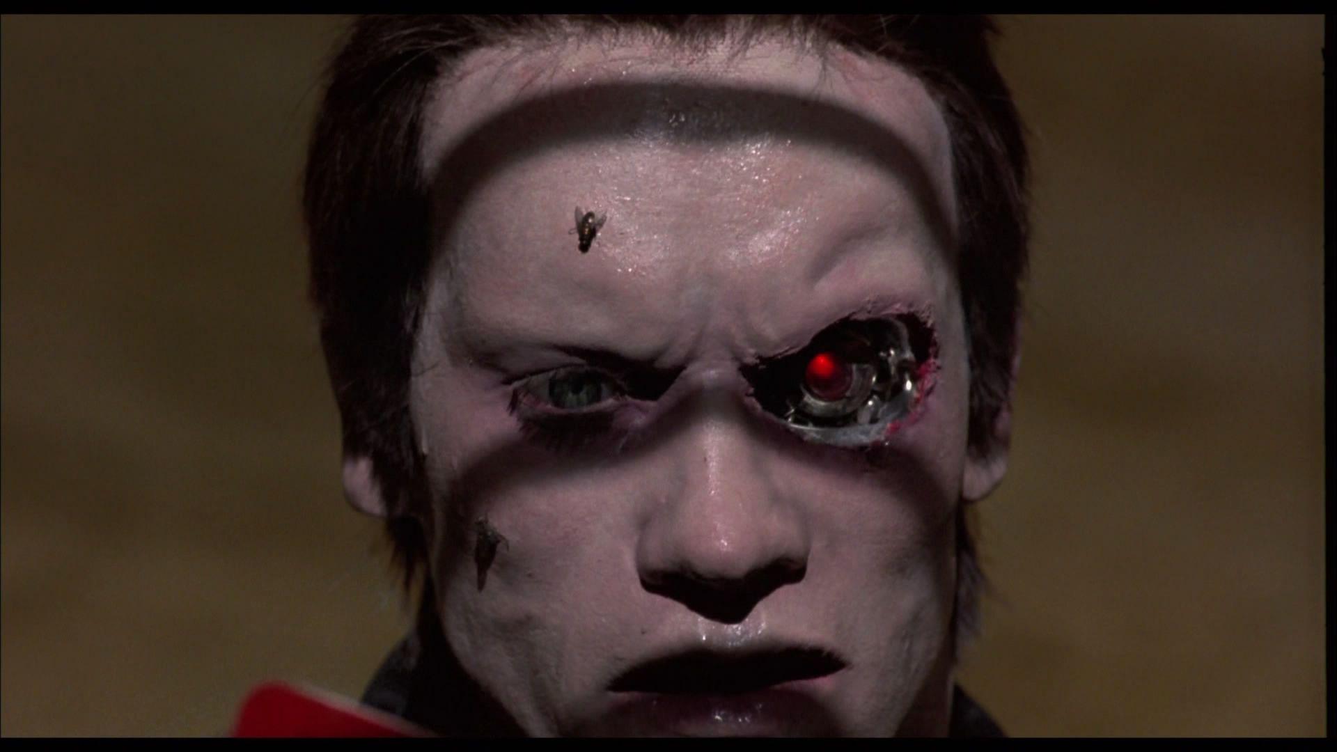 1920x1080 The Terminator wallpaper, Movie, HQ The Terminator pictureK