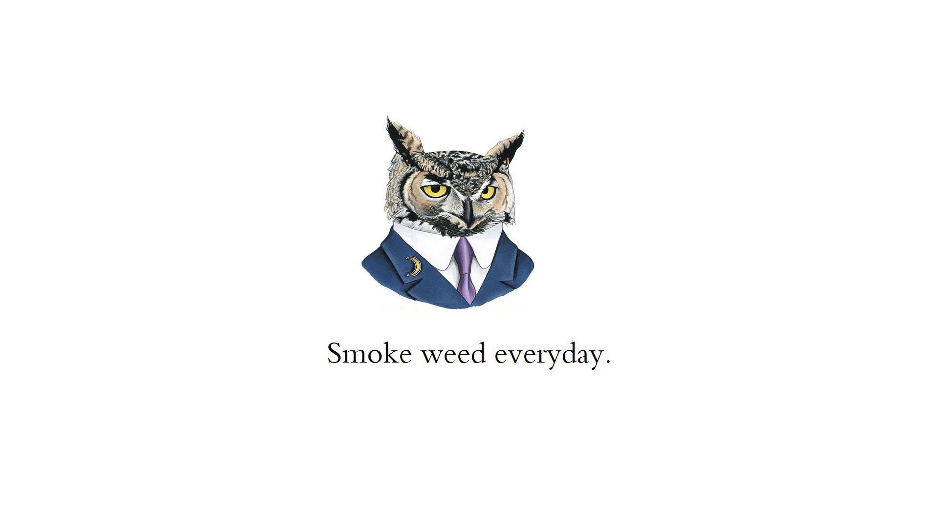 1920x1080 Animals talking rap lyrics' wallpaper