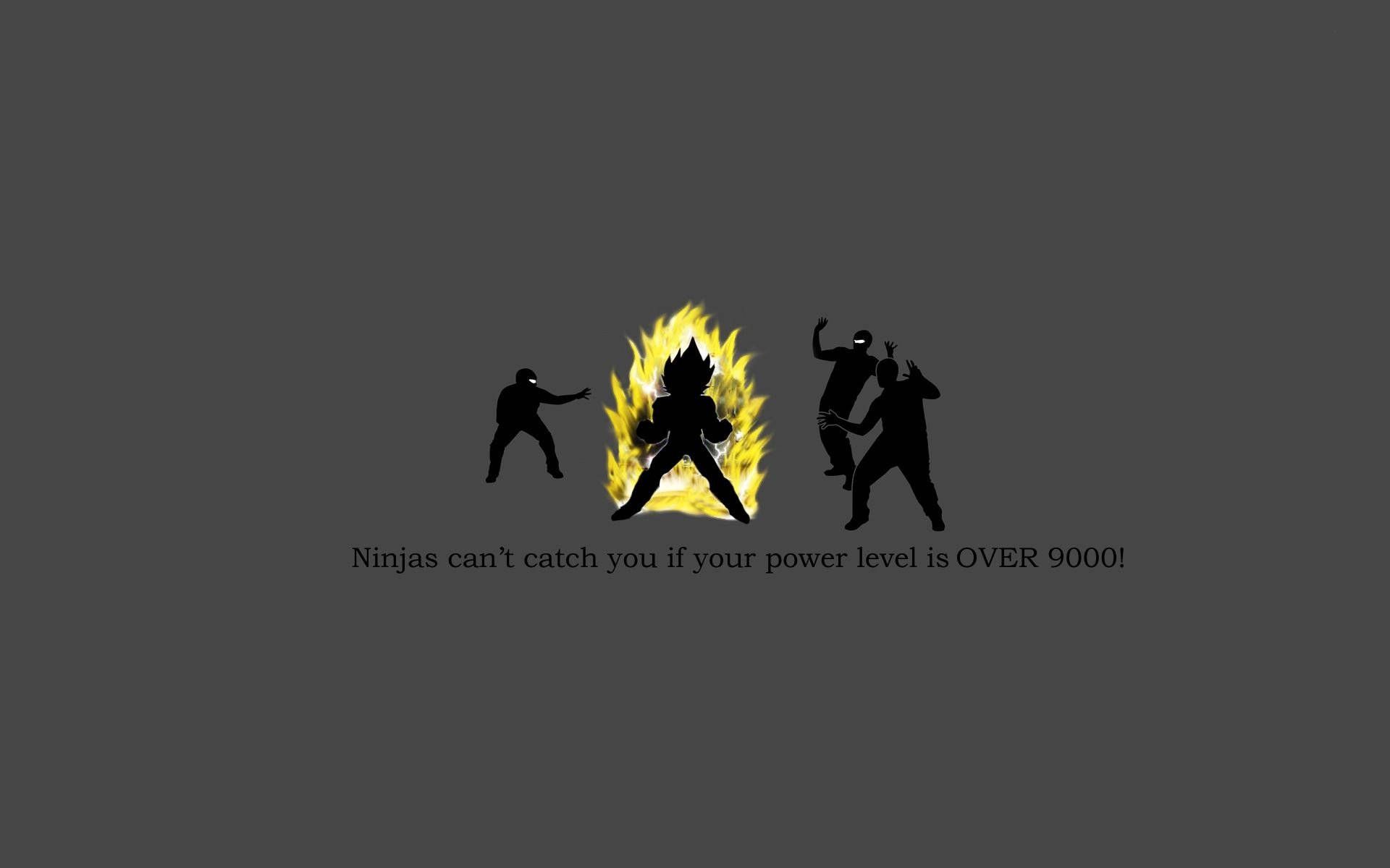 1920x1200 Funny Meme Picture