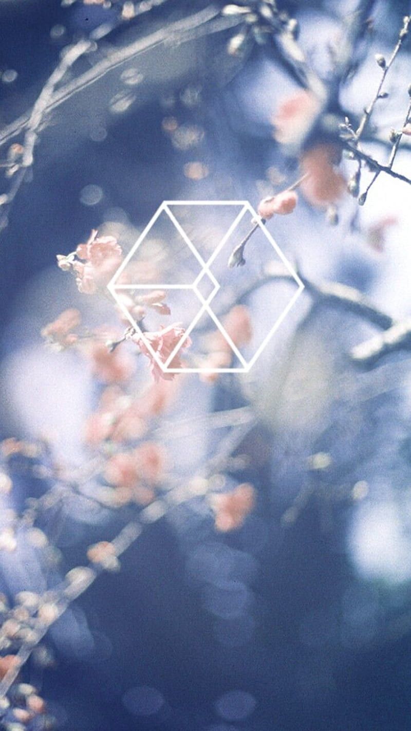 800x1422 Suho, exo k, kpop, kim junmyeon, exo suho, exo, exo m, HD phone wallpaper