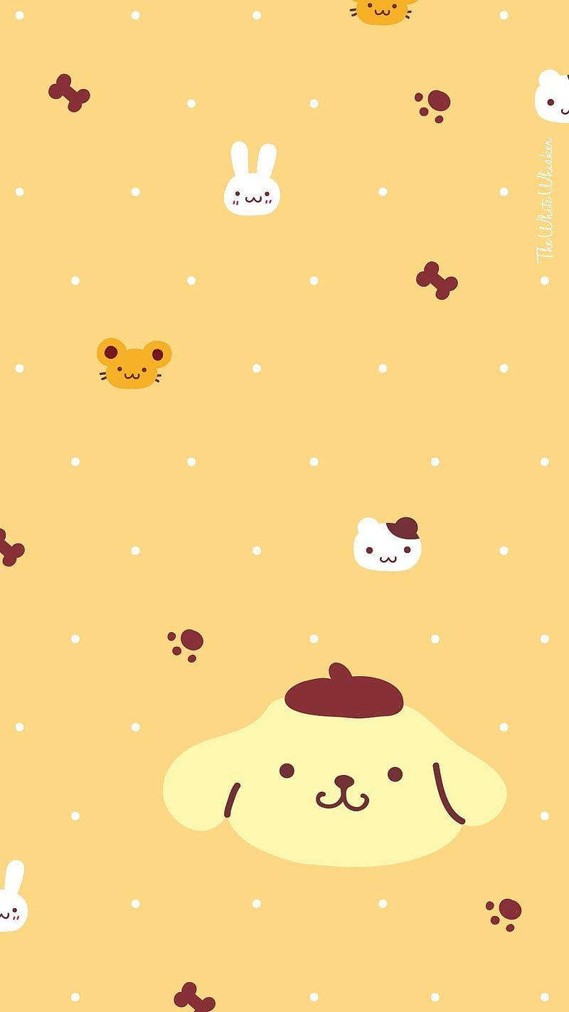 800x1422 Pompompurin, aesthetic, animal, art, cute, dog, drawing, my melody, pudding, HD phone wallpaper