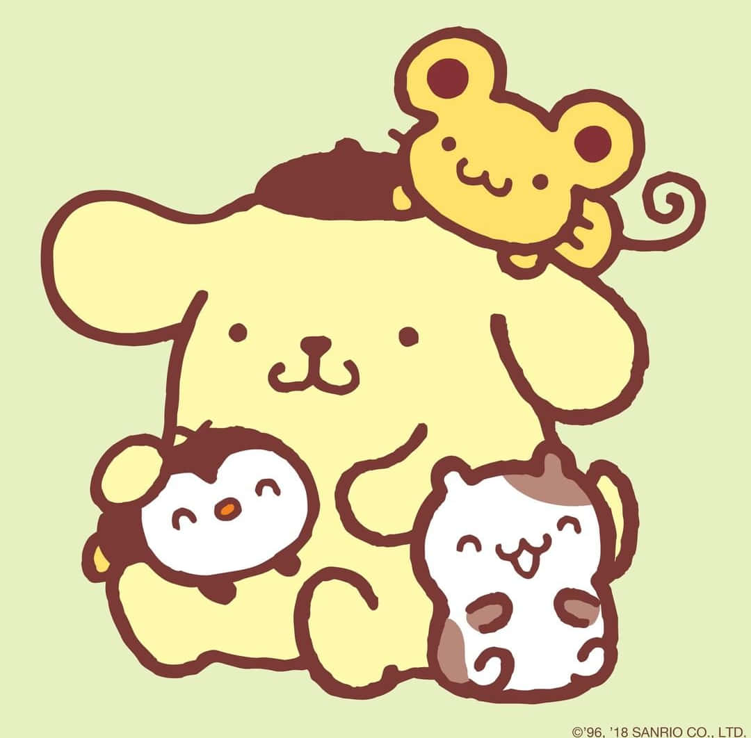 1080x1062 Pompompurin Wallpaper