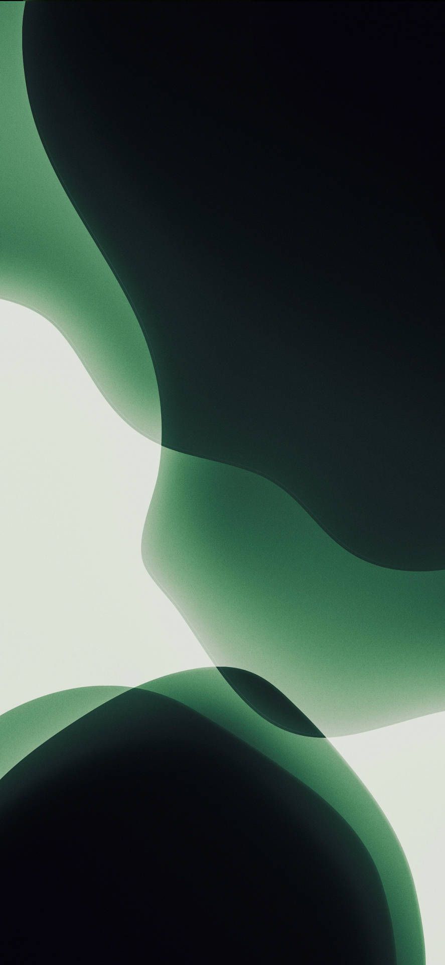 887x1920 Green iPhone Wallpaper