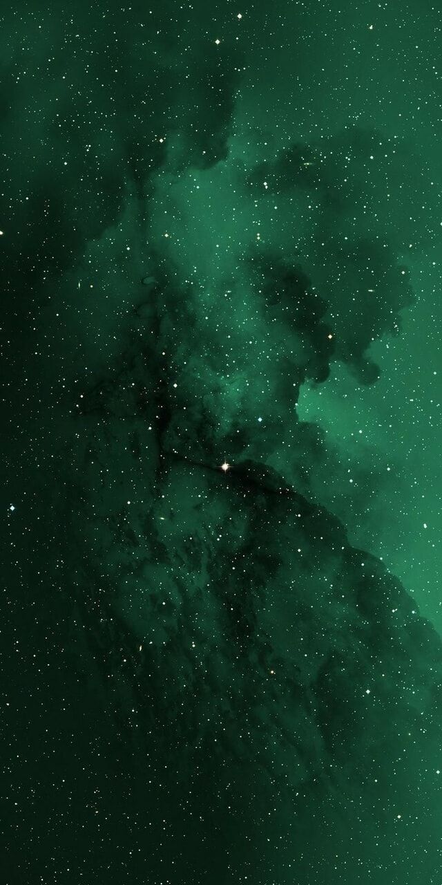 640x1280 Wallpaper. Dark green wallpaper, iPhone wallpaper green, Dark green aesthetic