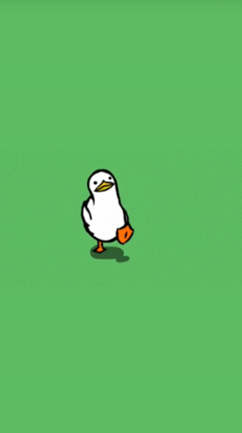 800x1430 HD walking duck wallpaper