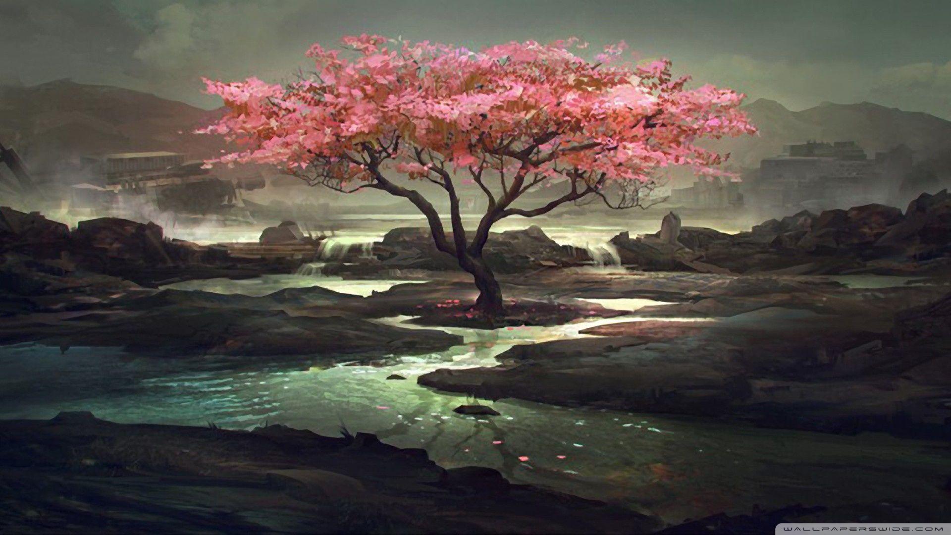 Chinese Tree Wallpapers - Top Free Chinese Tree Backgrounds