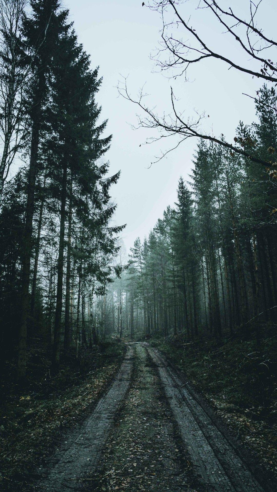 1080x1920 Overcast Road Phone Wallpaper Lockscreen HD 4K Android iOS iPhone