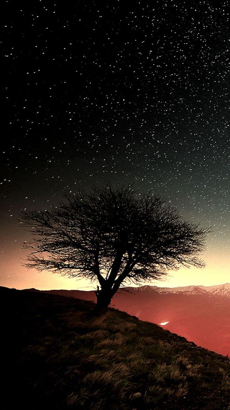 736x1309 best ⛅Nature❄ image. Background, iPhone
