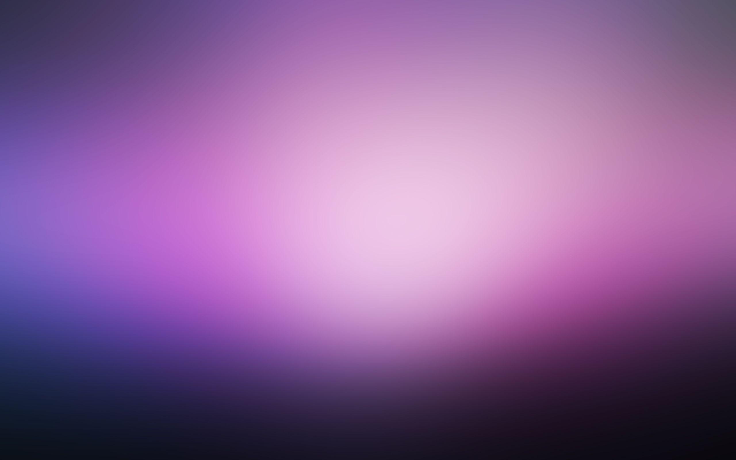 2560x1600 Purple Blur Wallpaper 26355 2560x1600px