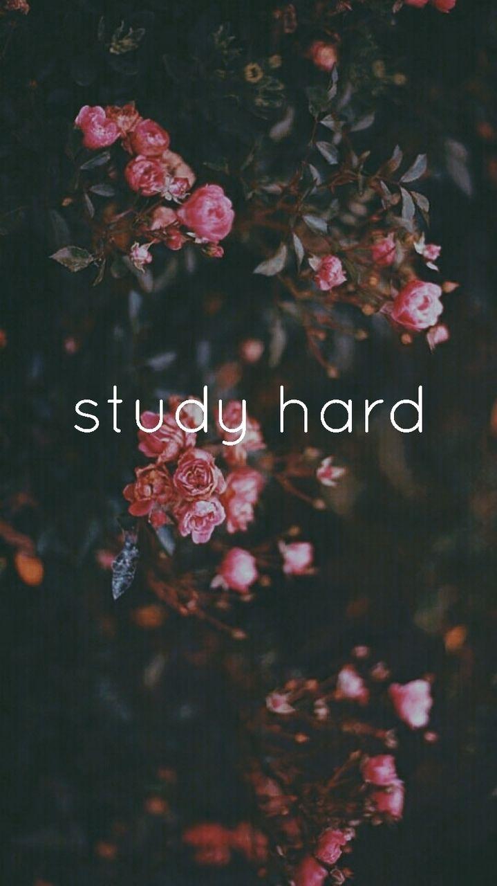 Study Hard Wallpapers - Top Free Study Hard Backgrounds - WallpaperAccess
