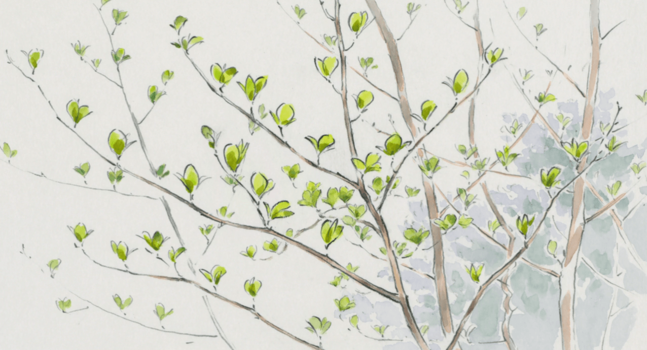 1276x690 Isao Takahata Wallpaper
