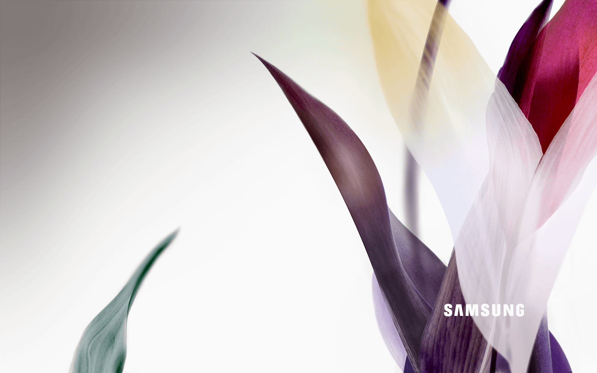 1920x1200 Samsung PC wallpaper (Late 2000s)