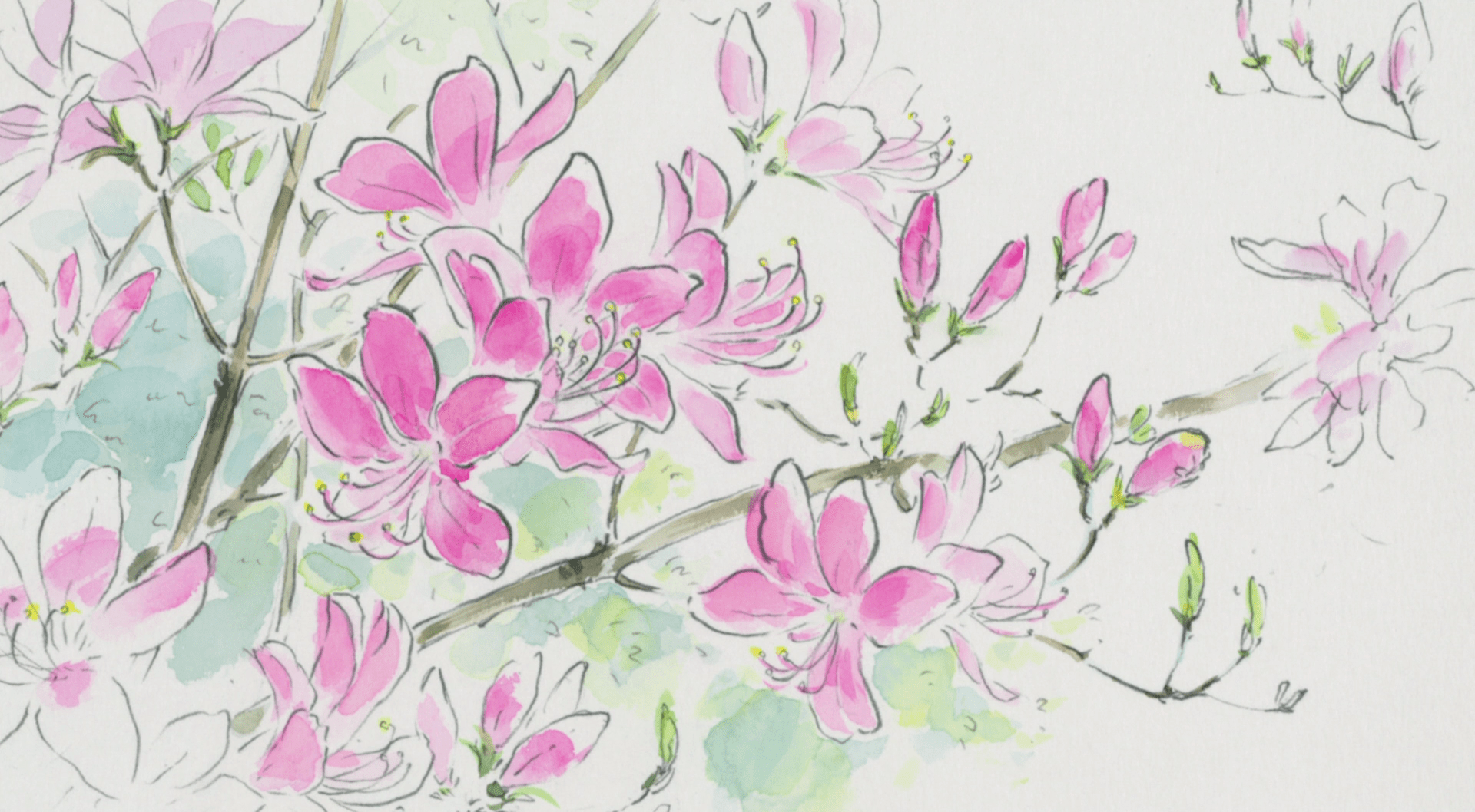1920x1058 The Tale of Princess Kaguya: Challenging the norms of visual