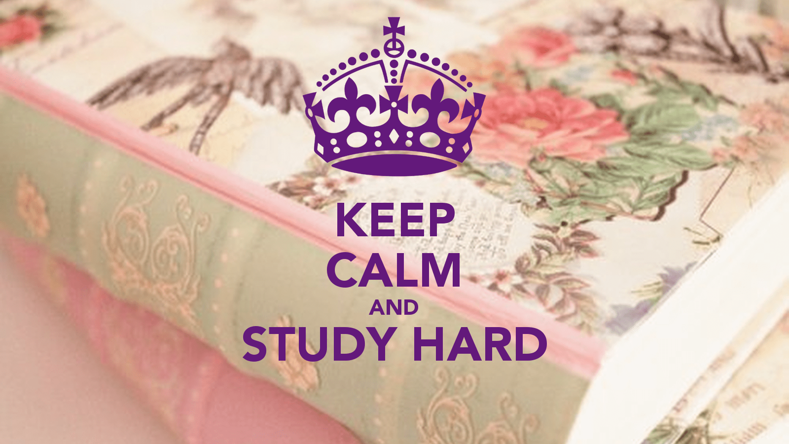 1600x900 Keep Calm And Study Wallpaper