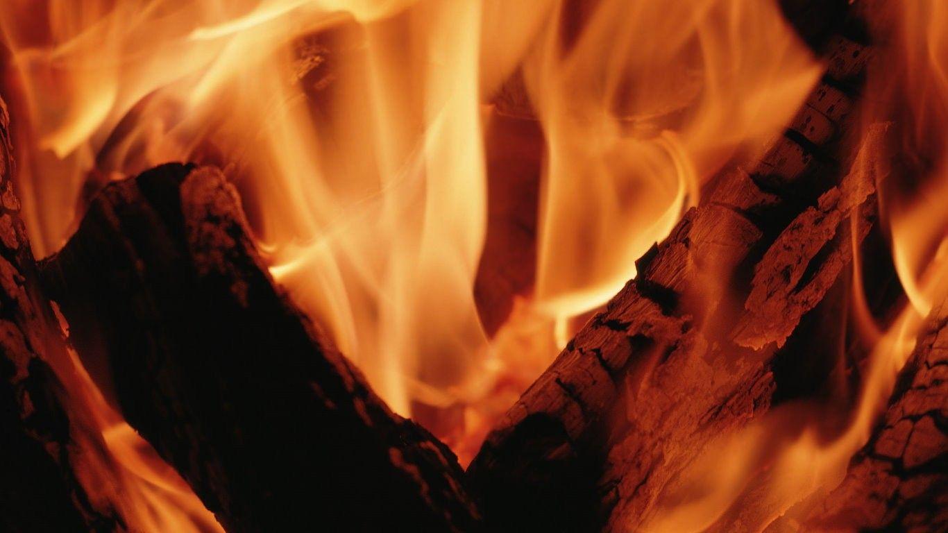 1366x768 Flames Tag wallpaper: Flames Flowers Candlelit Christmas Orchid