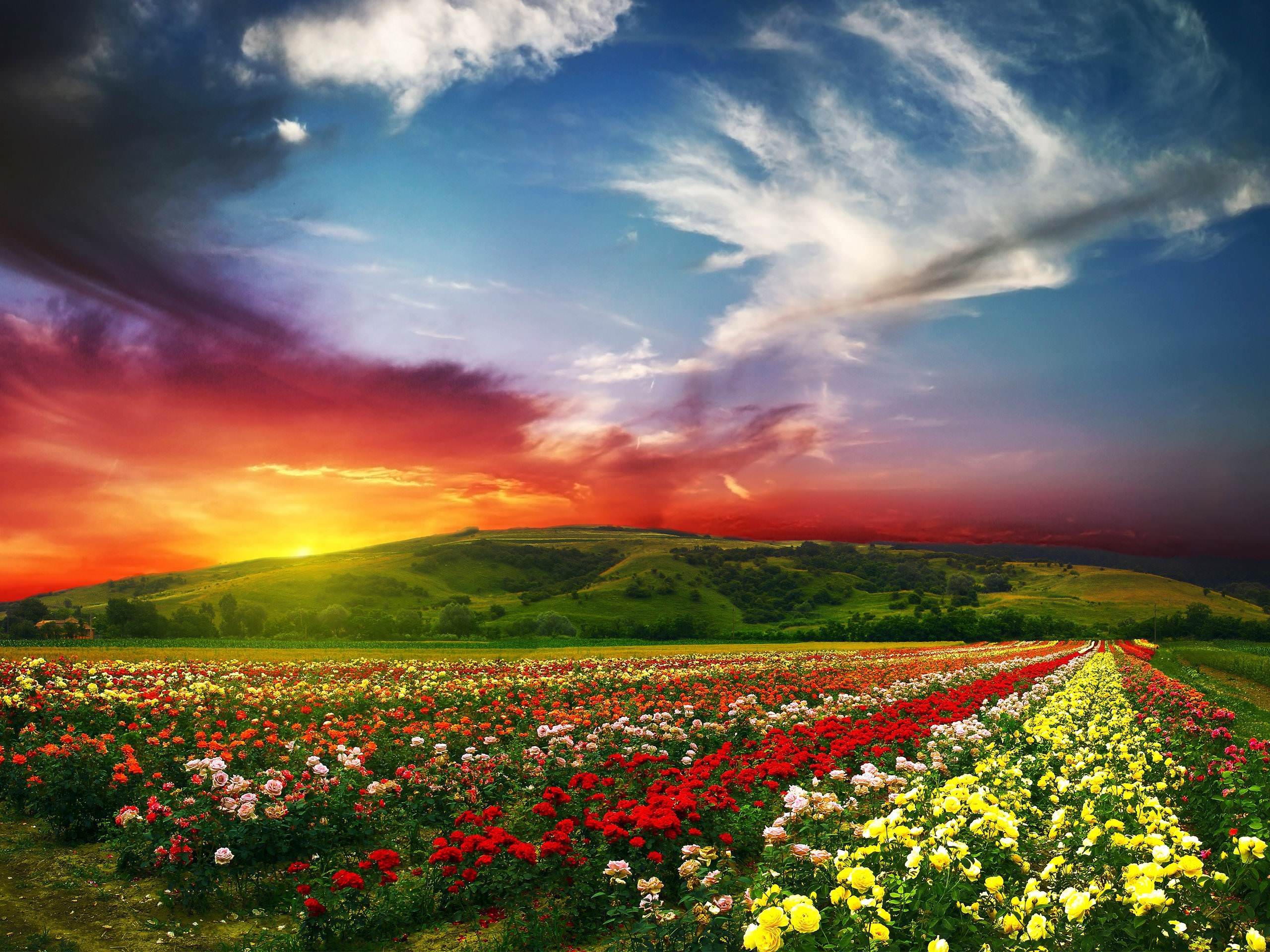2560x1920 wallpaper scenery 7