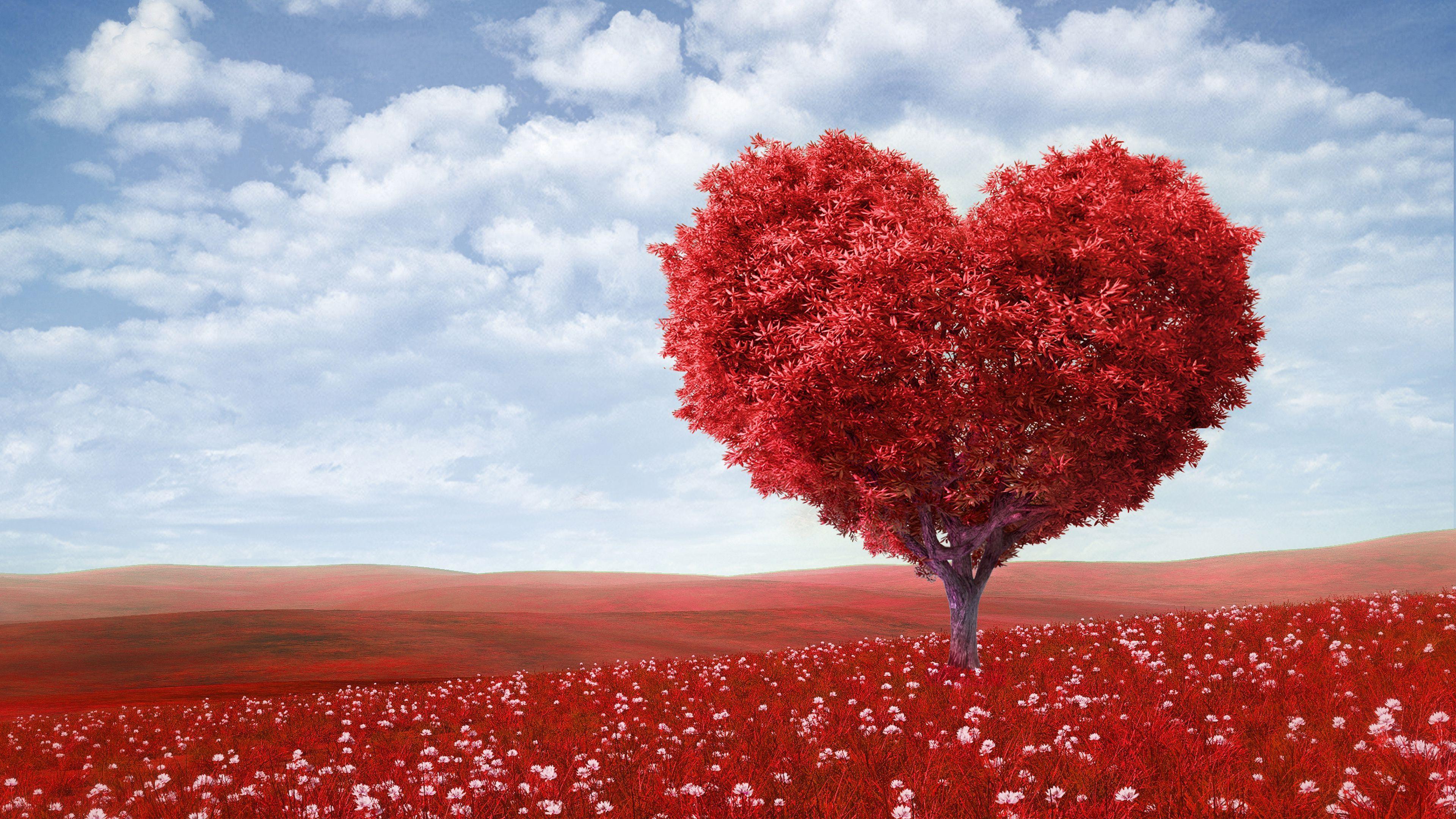 3840x2160 Amazing Love Heart Shape Image Wallpaper In High Quality