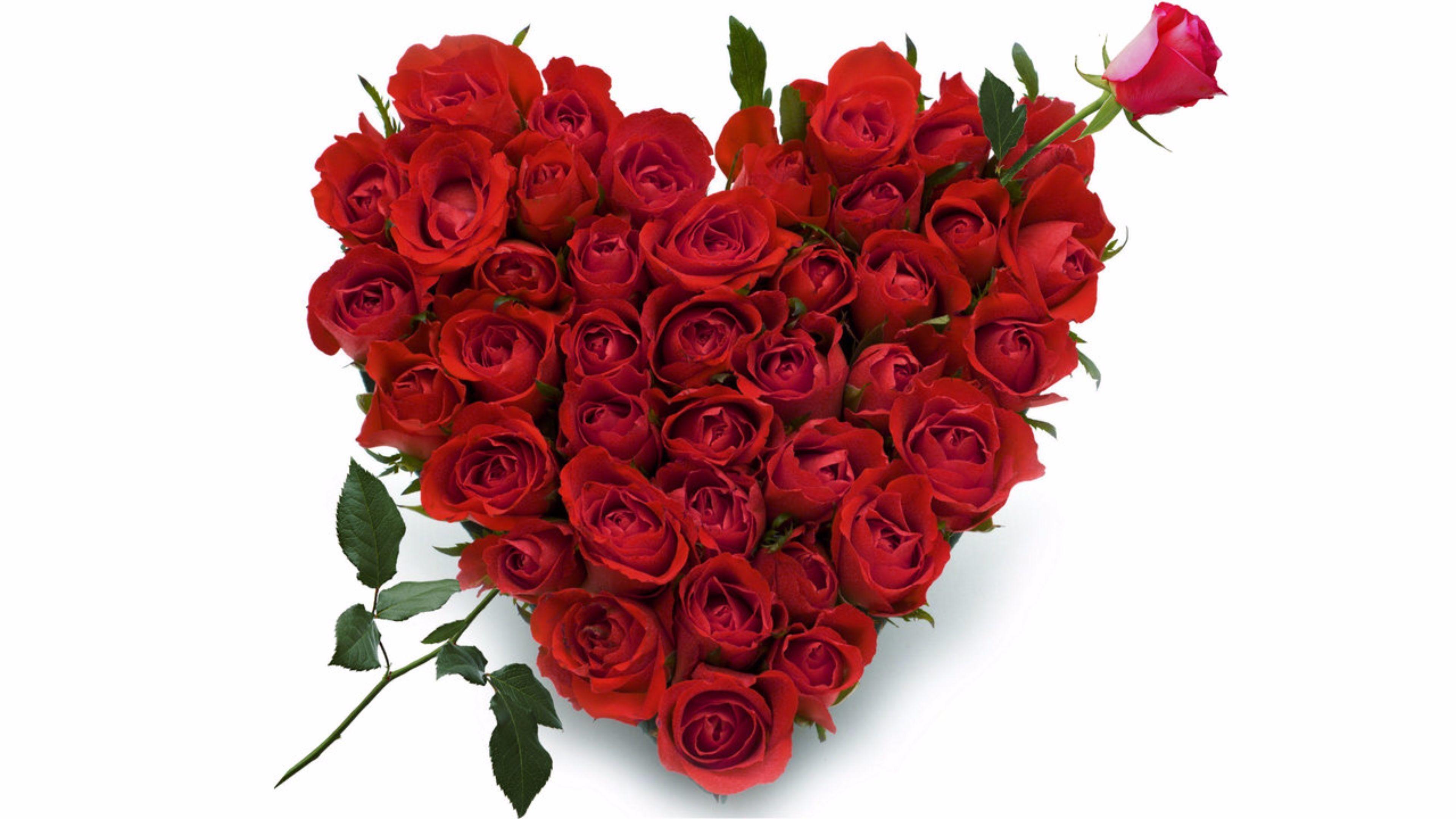 3840x2160 Red Rose Heart Wallpaper