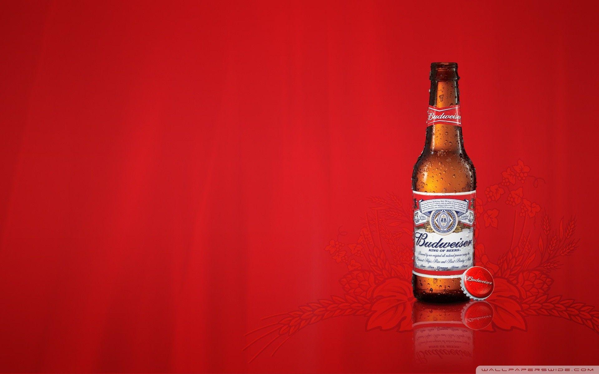 1920x1200 Busch Beer Wallpaper