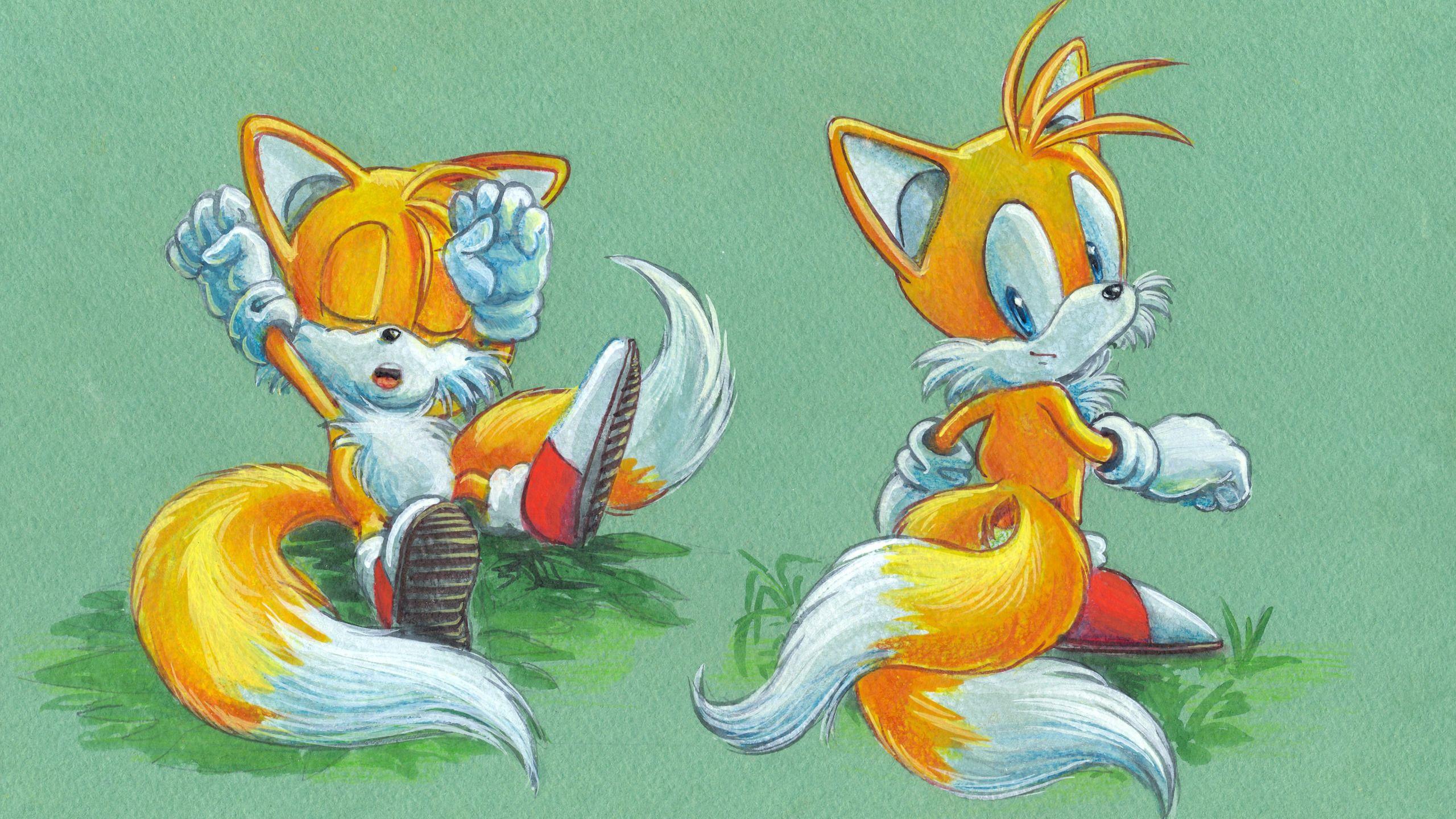 Sonic And Tails Wallpapers Top Free Sonic And Tails Backgrounds Wallpaperaccess 9294